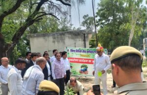 विश्व पर्यावरण दिवस पर जनपद न्यायालय परिसर में हुआ वृक्षारोपण कार्यक्रम