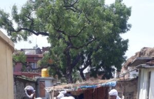 संचारी रोग नियंत्रण अभियान, माइक्रो प्लान के तहत ग्राम पंचायतों में विशेष स्वच्छता अभियान शुरू