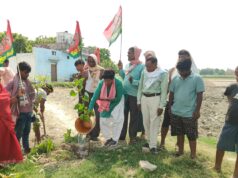पौधारोपण कर पूर्व सीएम के दीर्घायू होने की किया कामना