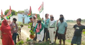 पौधारोपण कर पूर्व सीएम के दीर्घायू होने की किया कामना