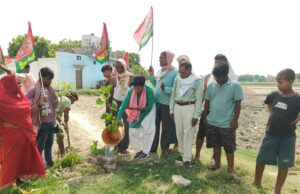 पौधारोपण कर पूर्व सीएम के दीर्घायू होने की किया कामना