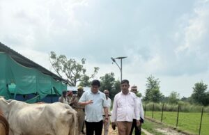 एसडीएम ने गौशाला का किया औचक निरीक्षण, CCTV मॉनिटर बंद मिलने पर जताई नाराजगी