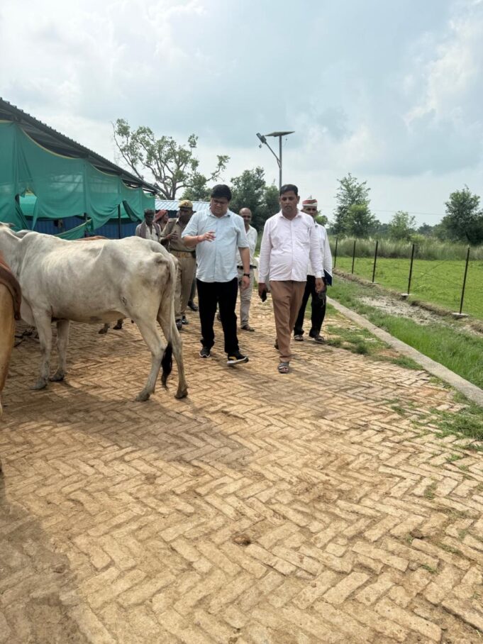 एसडीएम ने गौशाला का किया औचक निरीक्षण, CCTV मॉनिटर बंद मिलने पर जताई नाराजगी